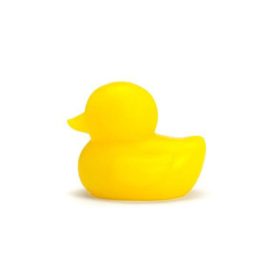 Lucky Ducky - Small - A Pound of Flesh